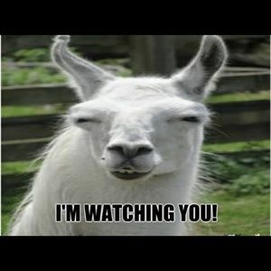 Meet your Posher, Kevin